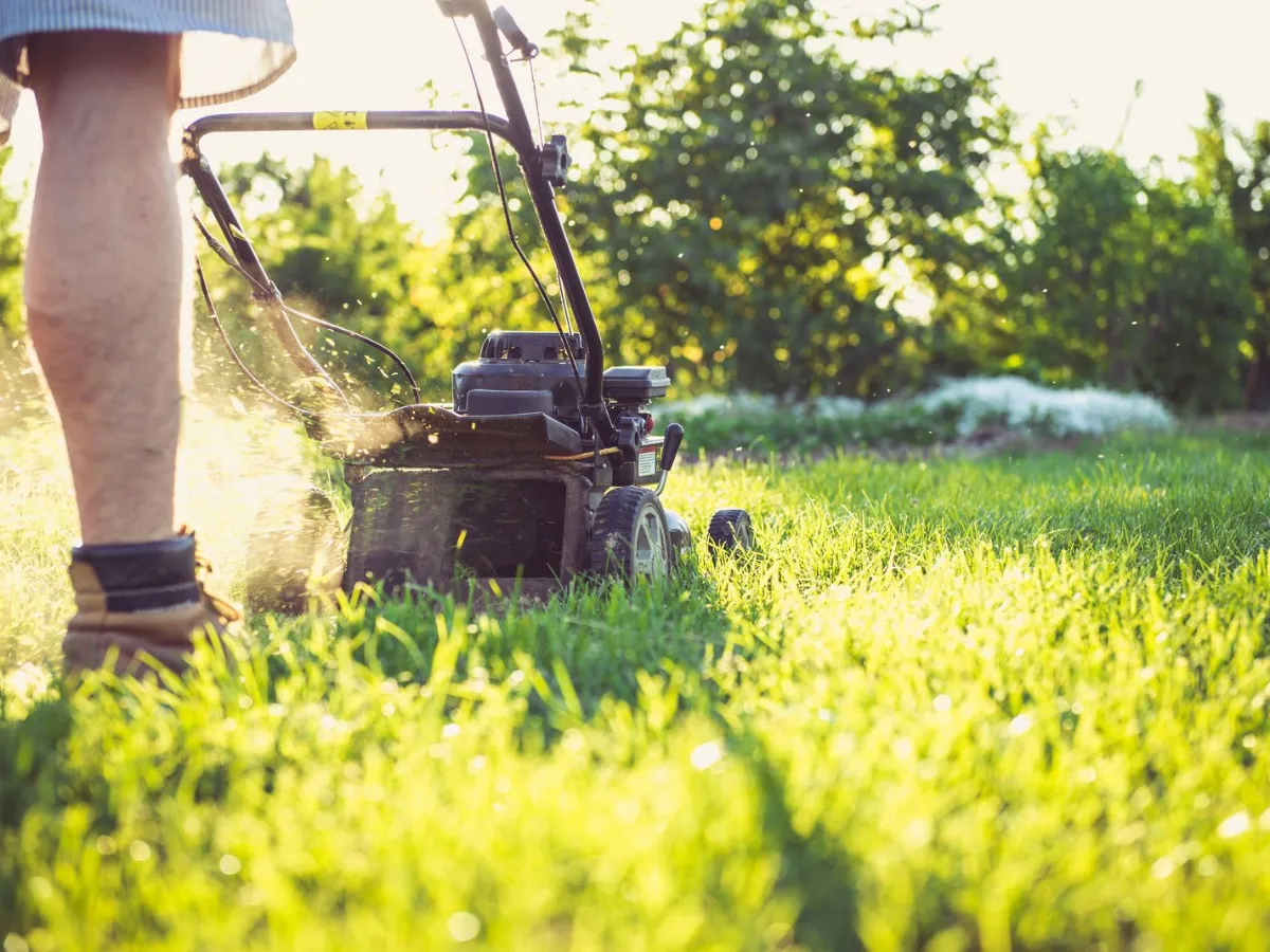 Push mower cutting a sunlit green lawn