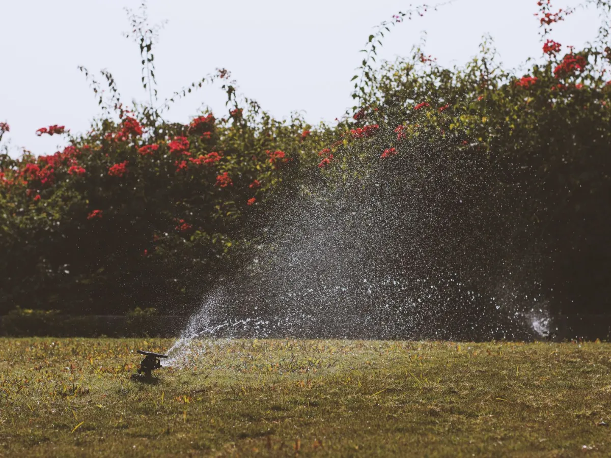 Sprinkler spraying water over a green lawn and flower bed
